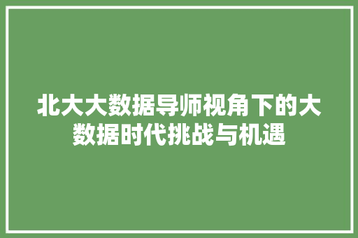 北大大数据导师视角下的大数据时代挑战与机遇 电脑故障维修