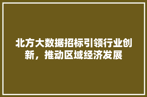 北方大数据招标引领行业创新，推动区域经济发展 操作系统