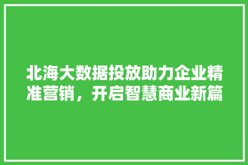 北海大数据投放助力企业精准营销,开启智慧商业新篇章 操作系统 北海大数据投放助力企业精准营销,开启智慧商业新篇章 操作系统