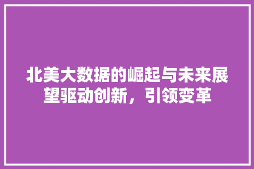 北美大数据的崛起与未来展望驱动创新，引领变革