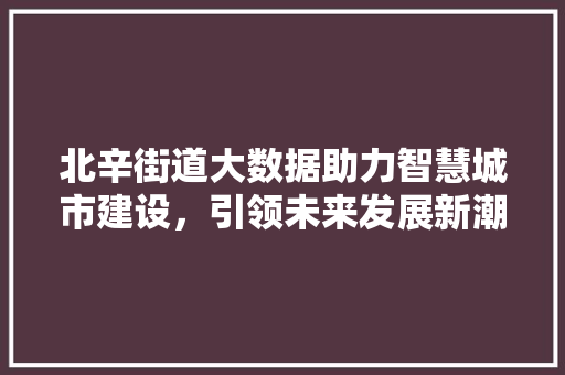 北辛街道大数据助力智慧城市建设，引领未来发展新潮流
