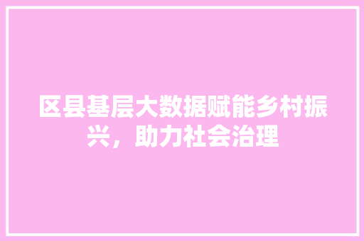 区县基层大数据赋能乡村振兴，助力社会治理