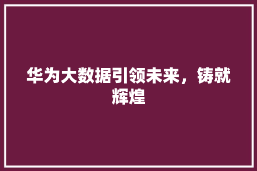 华为大数据引领未来，铸就辉煌