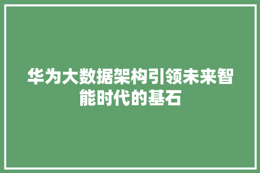 华为大数据架构引领未来智能时代的基石