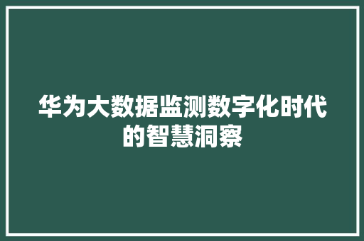 华为大数据监测数字化时代的智慧洞察