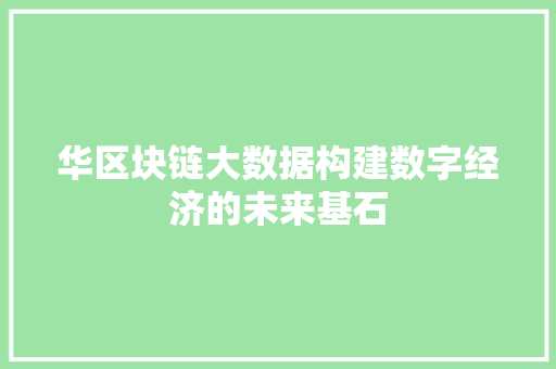华区块链大数据构建数字经济的未来基石 操作系统