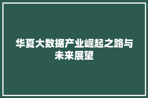 华夏大数据产业崛起之路与未来展望