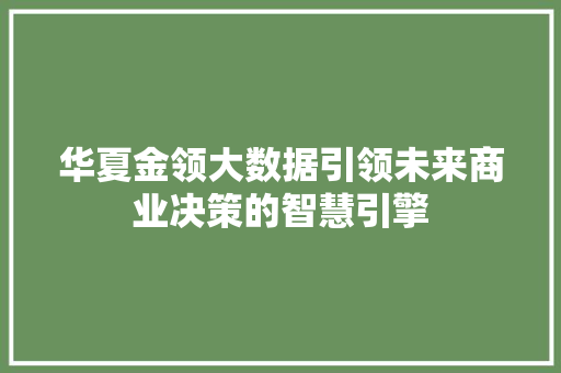 华夏金领大数据引领未来商业决策的智慧引擎 编程语言