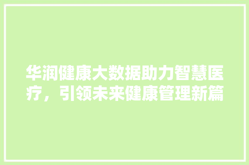 华润健康大数据助力智慧医疗，引领未来健康管理新篇章 编程语言