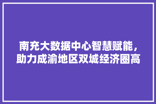 南充大数据中心智慧赋能，助力成渝地区双城经济圈高质量发展