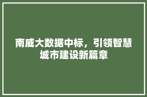 南威大数据中标，引领智慧城市建设新篇章