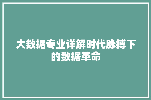 大数据专业详解时代脉搏下的数据革命