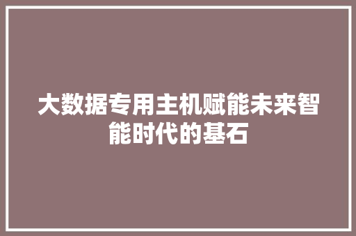 大数据专用主机赋能未来智能时代的基石