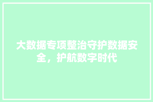 大数据专项整治守护数据安全，护航数字时代