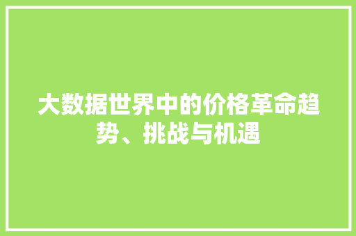 大数据世界中的价格革命趋势、挑战与机遇