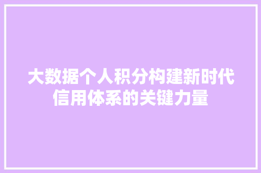 大数据个人积分构建新时代信用体系的关键力量