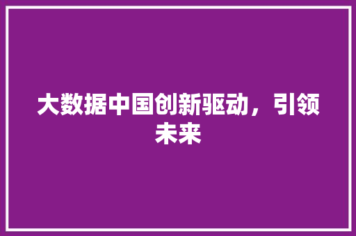大数据中国创新驱动，引领未来 编程语言