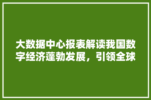 大数据中心报表解读我国数字经济蓬勃发展,引领全球新趋势 编程语言 大数据中心报表解读我国数字经济蓬勃发展,引领全球新趋势 编程语言
