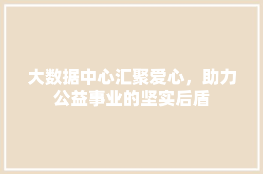 大数据中心汇聚爱心，助力公益事业的坚实后盾 电脑配置