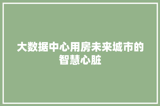 大数据中心用房未来城市的智慧心脏