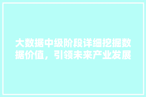 大数据中级阶段详细挖掘数据价值，引领未来产业发展