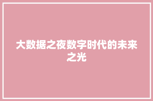 大数据之夜数字时代的未来之光