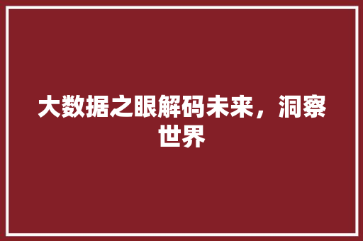 大数据之眼解码未来，洞察世界