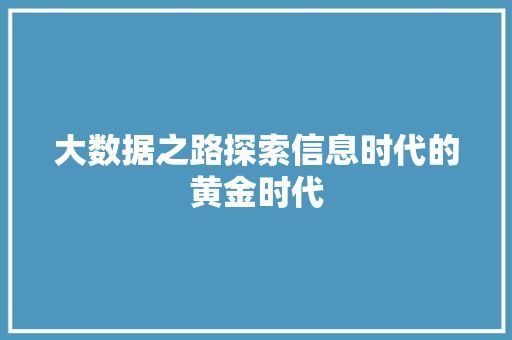 大数据之路探索信息时代的黄金时代
