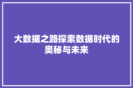 大数据之路探索数据时代的奥秘与未来