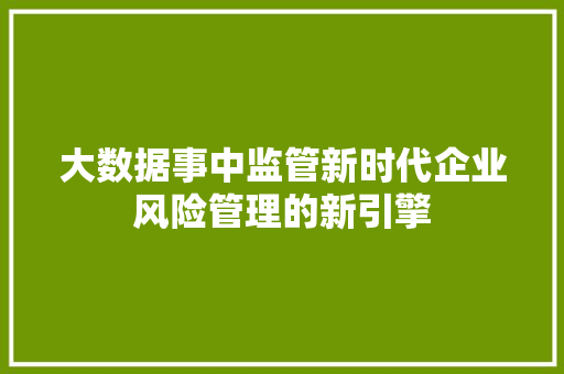 大数据事中监管新时代企业风险管理的新引擎