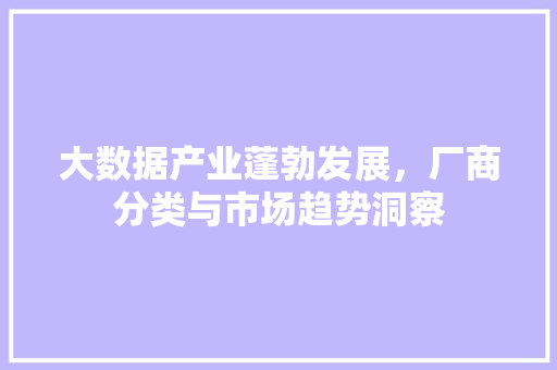大数据产业蓬勃发展，厂商分类与市场趋势洞察