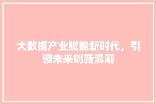 大数据产业赋能新时代，引领未来创新浪潮