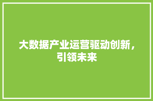 大数据产业运营驱动创新，引领未来