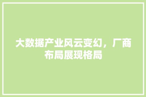 大数据产业风云变幻，厂商布局展现格局