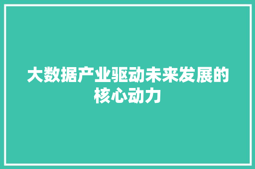 大数据产业驱动未来发展的核心动力