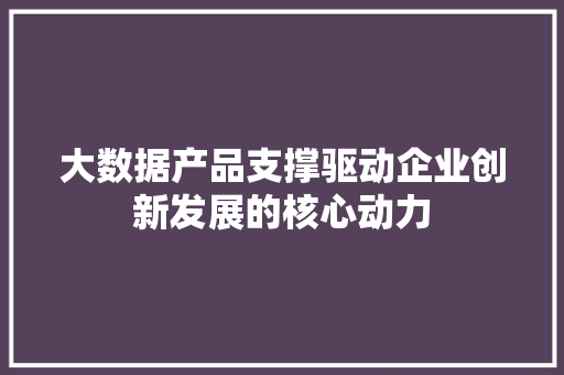 大数据产品支撑驱动企业创新发展的核心动力