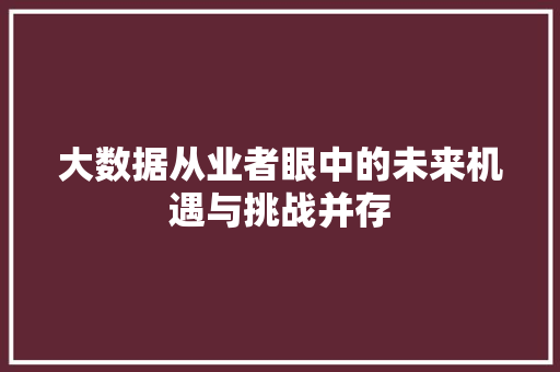 大数据从业者眼中的未来机遇与挑战并存