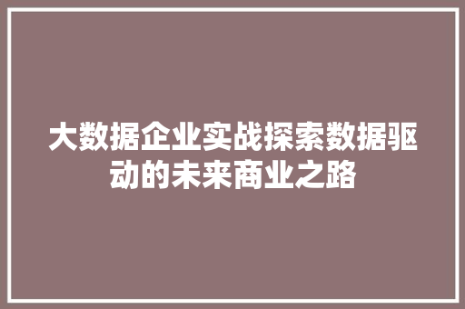 大数据企业实战探索数据驱动的未来商业之路