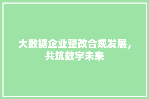 大数据企业整改合规发展，共筑数字未来 网络技术