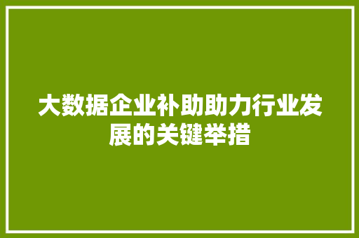 大数据企业补助助力行业发展的关键举措 网络技术