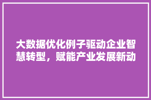 大数据优化例子驱动企业智慧转型，赋能产业发展新动力 网络技术