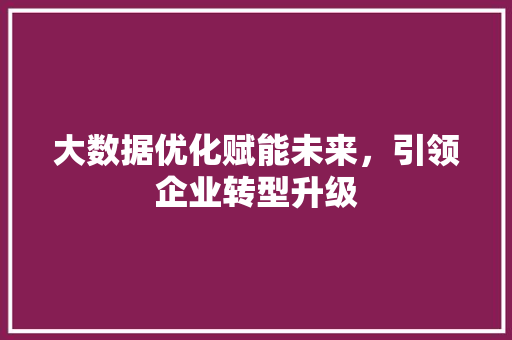 大数据优化赋能未来，引领企业转型升级