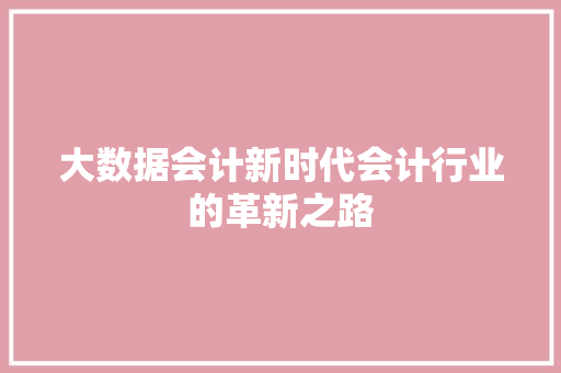 大数据会计新时代会计行业的革新之路