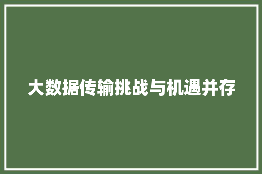 大数据传输挑战与机遇并存 网络技术