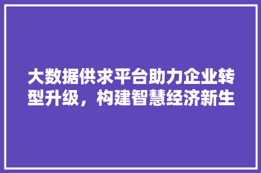 大数据供求平台助力企业转型升级，构建智慧经济新生态 电脑配置