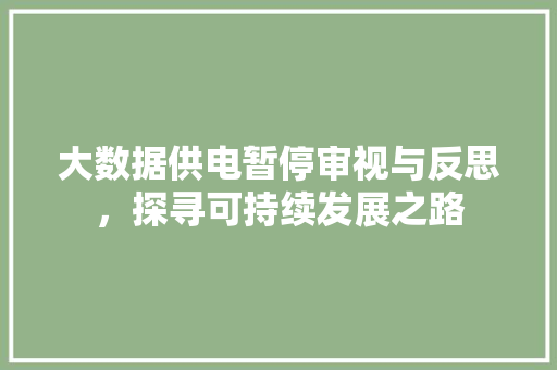 大数据供电暂停审视与反思，探寻可持续发展之路 编程语言