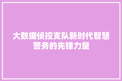 大数据侦控支队新时代智慧警务的先锋力量 操作系统 大数据侦控支队新时代智慧警务的先锋力量 操作系统