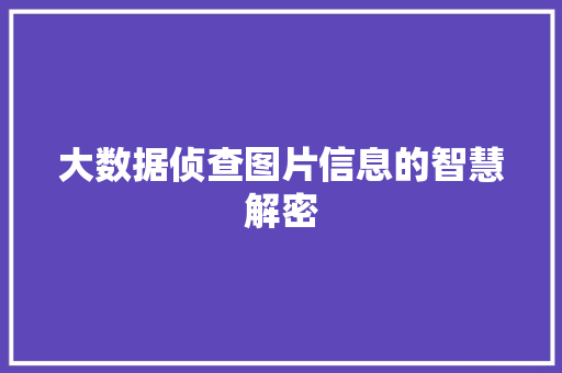 大数据侦查图片信息的智慧解密 电脑基础
