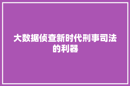 大数据侦查新时代刑事司法的利器