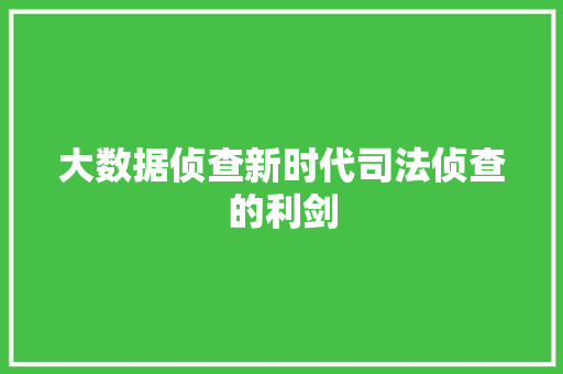 大数据侦查新时代司法侦查的利剑 网络技术